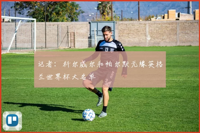 记者:科尔威尔和帕尔默无缘英格兰世界杯大名单